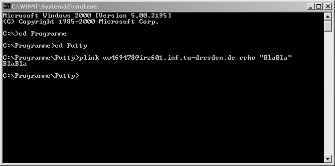 Test mit Plink