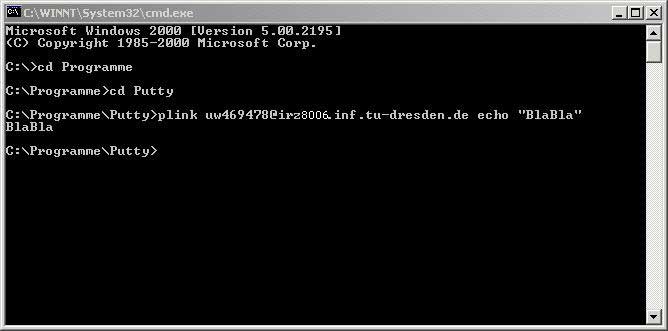 Test mit Plink